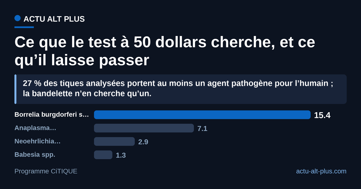 La bactérie de Lyme est le passager le plus fréquent des tiques qui nous piquent, mais le test n’en cherche qu’un sur les quatre agents pathogènes mesurés par CiTIQUE. Limite : 2 009 tiques envoyées volontairement par des citoyens entre 2017 et 2019, pas un échantillon tiré au sort.