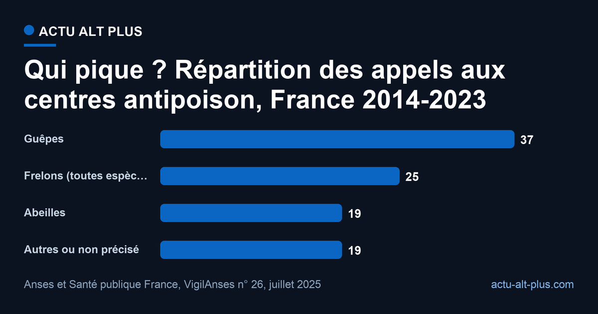 La guêpe est à l’origine de plus d’un tiers des envenimations signalées aux centres antipoison, loin devant l’abeille. Limite : la répartition porte sur les 6 022 appels aux centres antipoison, pas sur les 179 141 passages aux urgences, qui ne renseignent pas l’espèce.