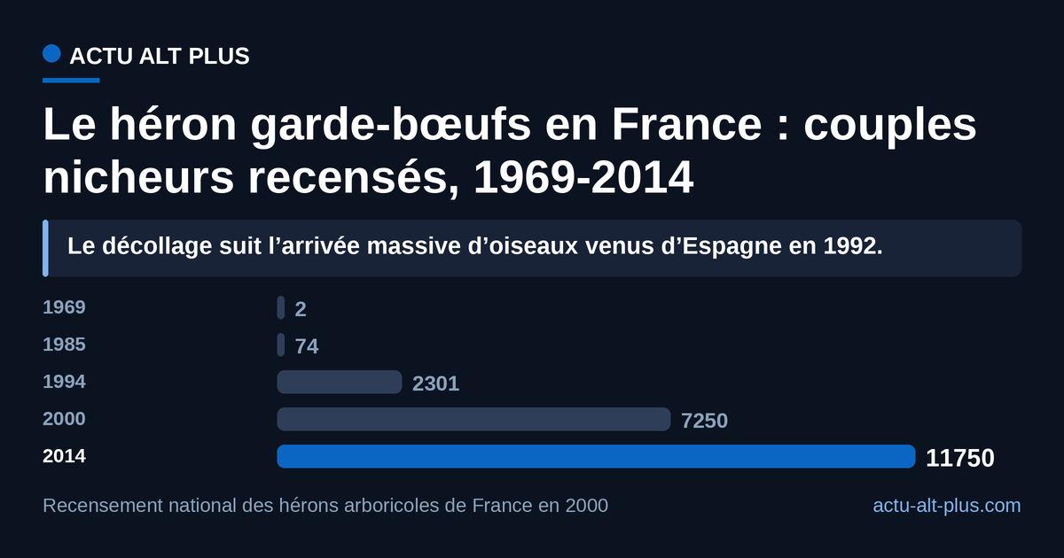 La population française est passée de 2 couples nicheurs en 1969 à près de 11 800 en 2014 : l’espèce que le zoo de La Flèche a mis des années à reproduire signe l’une des colonisations d’oiseaux les plus rapides du pays. Limite de méthode : les points 1969 et 1985 sont des effectifs camarguais, l’espèce ne nichant alors quasiment nulle part ailleurs en France, et le point 2014 est une estimation en fourchette (11 700 à 11 800 couples) et non un comptage de nids.