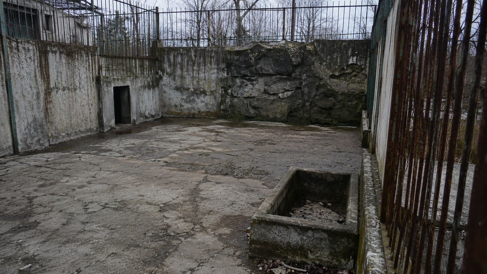 Enclos de béton vide dans un zoo fermé, sol gris fissuré, barreaux rouillés et abreuvoir à sec
