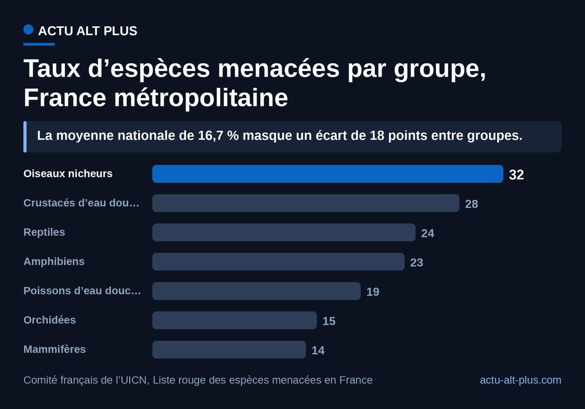 Les oiseaux nicheurs sont le groupe métropolitain le plus touché des sept publiés, à 32 % d’espèces évaluées menacées, plus du double des mammifères. Limite : chaque taux est calculé sur les seules espèces évaluées du groupe, dont le nombre varie fortement d’un chapitre à l’autre.