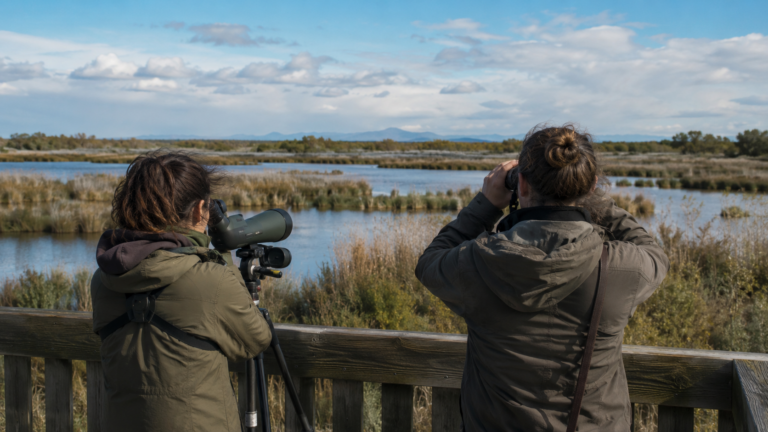 Deux naturalistes vus de dos comptent des oiseaux à la longue-vue depuis une plateforme en bois au bord d’un marais de Camargue.