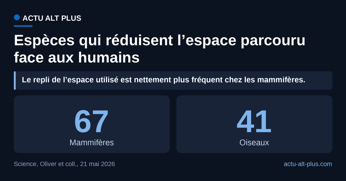 Face à la combinaison présence humaine et paysage modifié, deux tiers des espèces de mammifères réduisent l’espace qu’elles parcourent, contre quatre espèces d’oiseaux sur dix.