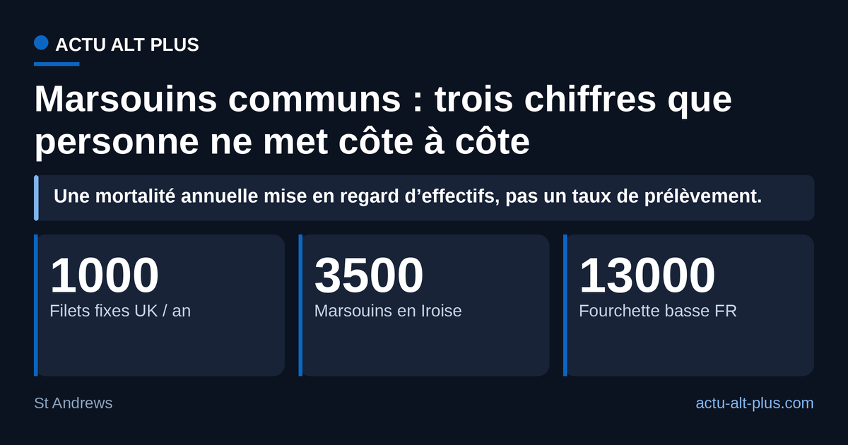 Les filets fixes britanniques prélèvent chaque année l’équivalent de 29 % des marsouins de la mer d’Iroise. Limite : ce sont deux populations distinctes, la mise en regard donne un ordre de grandeur, pas un taux de prélèvement français.