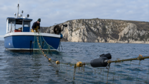Un petit fileyeur britannique devant des falaises des Cornouailles, un enregistreur acoustique noir accroché à la ligne de flotteurs du filet.