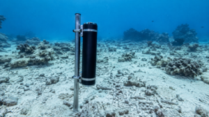 Enregistreur acoustique cylindrique fixé à un piquet métallique sur un fond sableux jonché de gravats de corail, récif indonésien