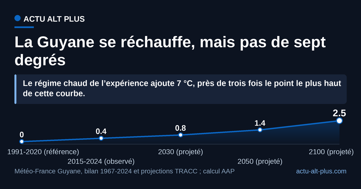 Même à l’horizon 2100, la hausse projetée en Guyane reste 2,8 fois inférieure aux 7 °C du régime chaud du laboratoire. Limite : la courbe additionne une mesure de terrain (2015-2024) et des projections de modèle, comparables en ordre de grandeur seulement.