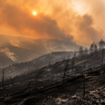 2 millions d&rsquo;acres brûlés : l&rsquo;Oregon bat son record d&rsquo;incendies avec deux mois de saison à venir