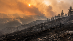 2 millions d&rsquo;acres brûlés : l&rsquo;Oregon bat son record d&rsquo;incendies avec deux mois de saison à venir