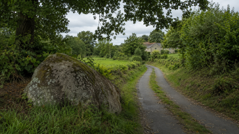 Un gros rocher de granit affleure sous un grand chêne, dans un village rural des Deux-Sèvres, avec un muret de pierre sèche et des haies de bocage derrière.
