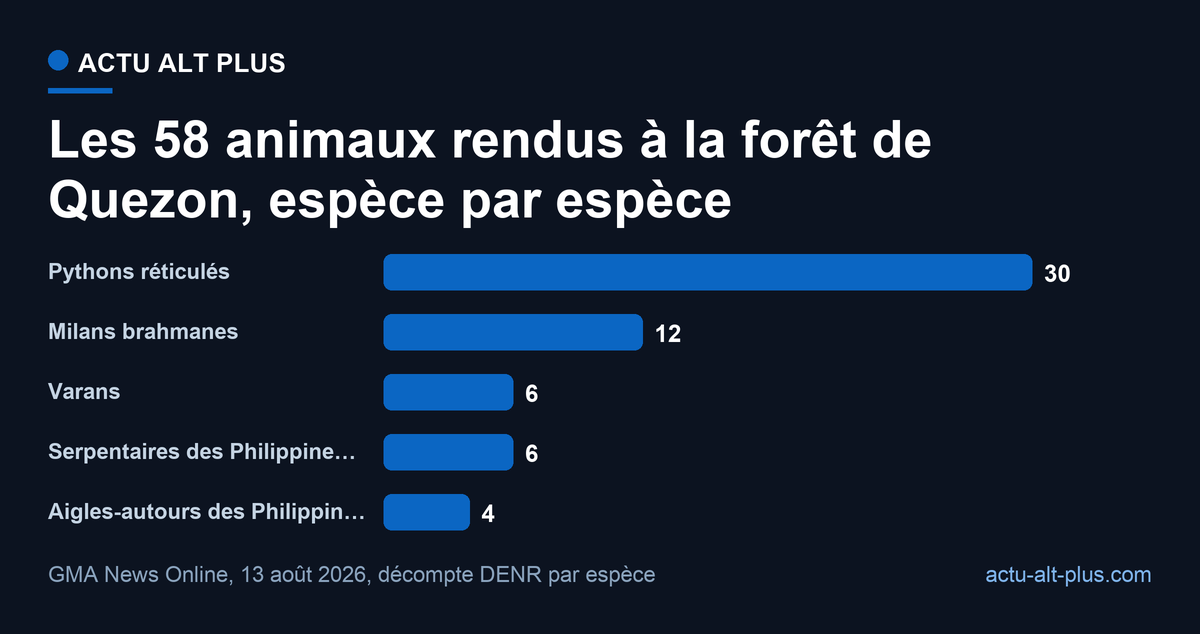Les pythons réticulés font 52 % du lot : la réhabilitation philippine travaille d’abord sur des espèces mal-aimées. Limite : décompte d’une seule opération, non extrapolable à l’année.