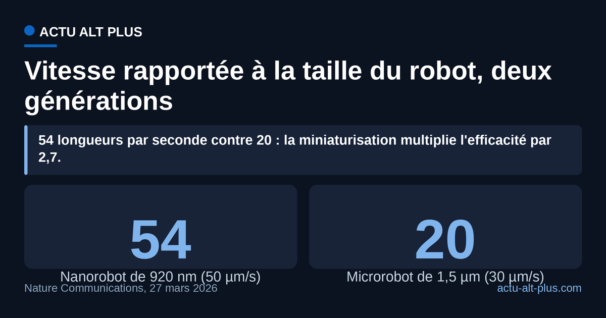 En rétrécissant, le robot de Wurtzbourg gagne près du triple de vitesse rapportée à sa propre longueur. Limite : les deux valeurs sont des vitesses de pointe mesurées à vide, sans bactérie remorquée.