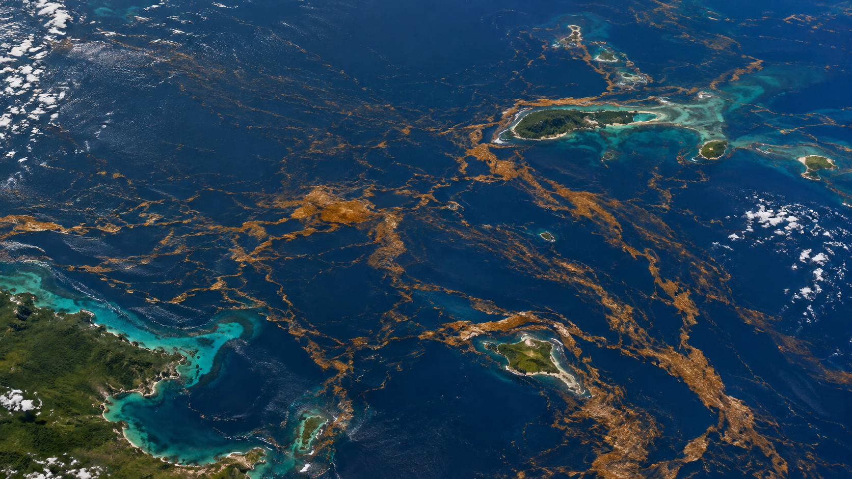 Vue depuis l'orbite de l'Atlantique tropical, longs filaments dorés d'algues flottantes traversant l'océan bleu profond vers des côtes insulaires.