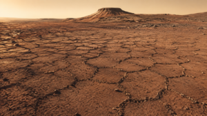 Plaine martienne rocailleuse en lumière rasante, sol ocre parcouru d'un réseau de fissures polygonales, butte basse à l'horizon sous un ciel pâle.