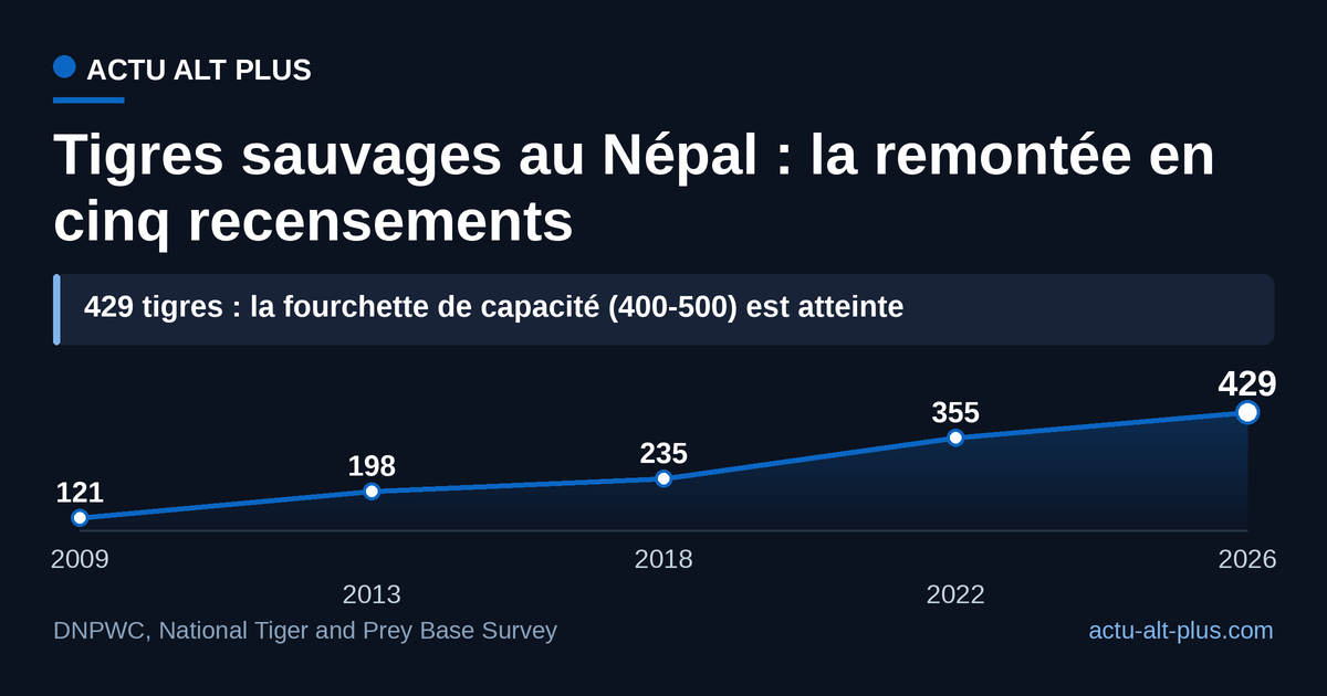 Multipliée par 3,5 depuis 2009, la population népalaise atteint 429 tigres et entre dans la fourchette de capacité (400 à 500) estimée par les experts. Limite : estimations par pièges photographiques, comparables entre campagnes mais assorties d'une marge d'erreur.