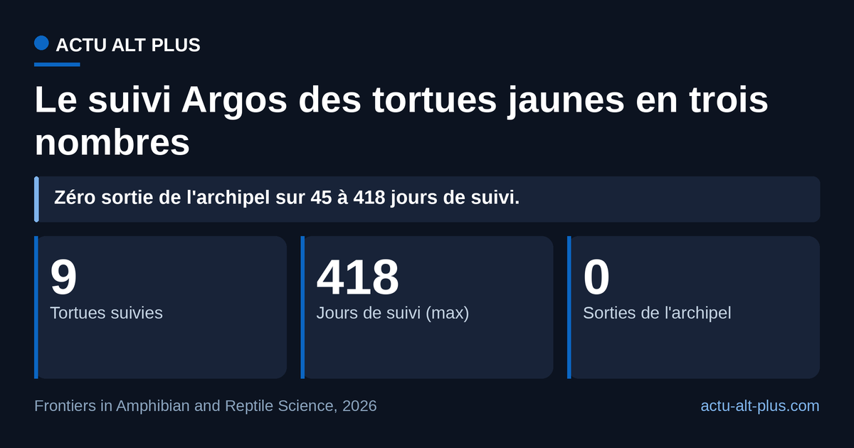 Aucune des neuf tortues n'a franchi les limites de l'archipel, même après 418 jours de balise. Suivi limité à neuf adultes de morphotype jaune sur quatre îles.