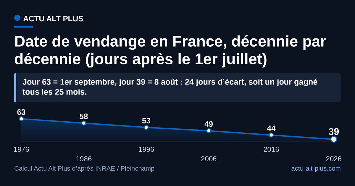 La vendange d’un début septembre est devenue une vendange du 8 août en cinquante ans, sans décennie d’inversion. Limite méthodologique : trajectoire reconstruite par Actu Alt Plus au rythme moyen de 0,48 jour par an dérivé des 24 jours d’avance mesurés sur cinquante ans, ancrée sur la date réelle du 8 août 2026 en Bourgogne. Ce n’est pas une série de relevés annuels.
