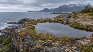 Alaska : des poissons ont évolué en 50 ans dans des mares nées d’un séisme