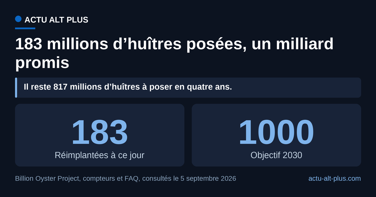 Le programme a remis 183 millions d’huîtres au port sur le milliard annoncé pour 2030 : 18 % de la cible, à quatre ans de l’échéance. Limite : ce compteur est celui affiché par le projet lui-même, il n’est pas audité par un tiers.