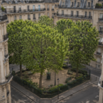 Un square minuscule bordé de quatre platanes et d’une grille verte, enserré de tous côtés par de hauts immeubles haussmanniens.