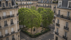 2,57 m² d’espaces verts par Parisien : le ratio est multiplié par 4,6 quand on y remet les bois