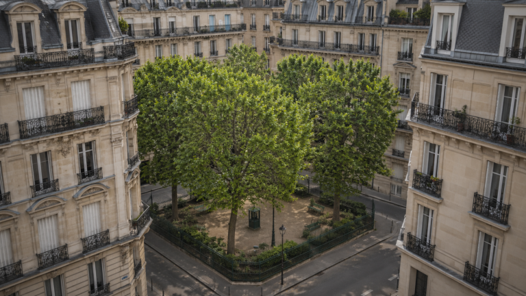 Un square minuscule bordé de quatre platanes et d’une grille verte, enserré de tous côtés par de hauts immeubles haussmanniens.