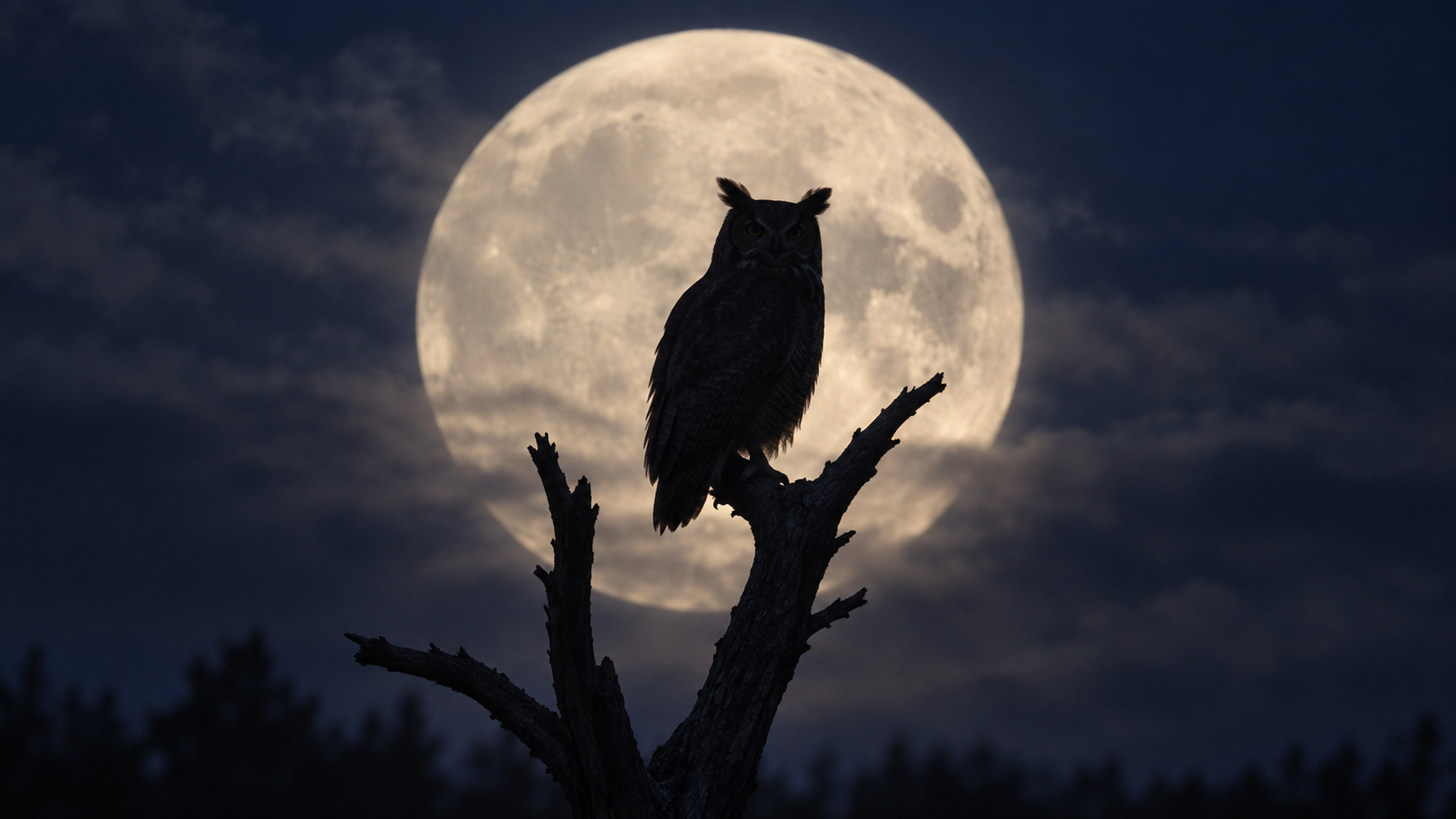 Un grand-duc perché sur une branche morte se découpe en silhouette devant une pleine lune.