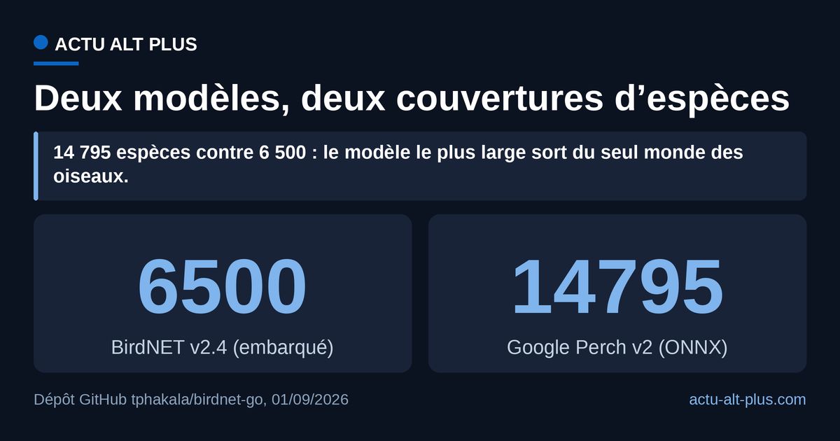 Charger Google Perch v2 à la place de BirdNET v2.4 multiplie par 2,3 le nombre d’espèces reconnaissables, mais le gain porte surtout sur les insectes, amphibiens et mammifères. Limite : ce sont les chiffres annoncés par le dépôt, pas des performances mesurées.