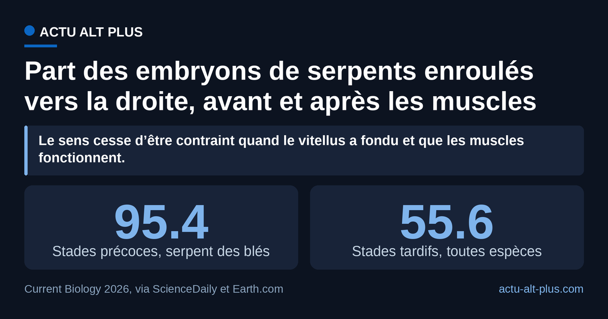 La droite n’est imposée que tant que l’embryon ne peut pas bouger : près de l’éclosion, le sens redevient un tirage à pile ou face. Les deux barres portent sur des lots différents, l’un chez le serpent des blés, l’autre toutes espèces confondues.
