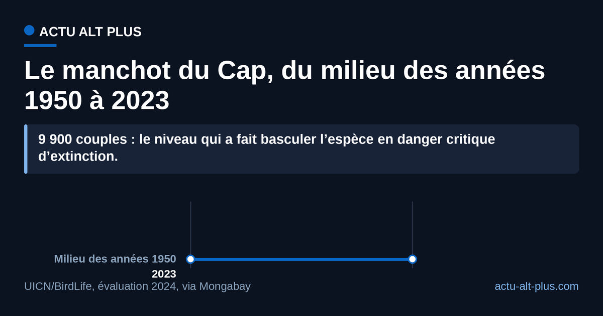 En sept décennies, le manchot du Cap a perdu 93 % de ses couples reproducteurs : 141 000 au milieu des années 1950, 9 900 en 2023. L’évaluation UICN s’arrête à 2023 et ne couvre pas les saisons 2024-2026.