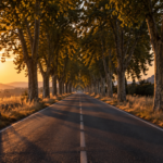 Route départementale déserte bordée de platanes, à la tombée du jour en fin d'été.