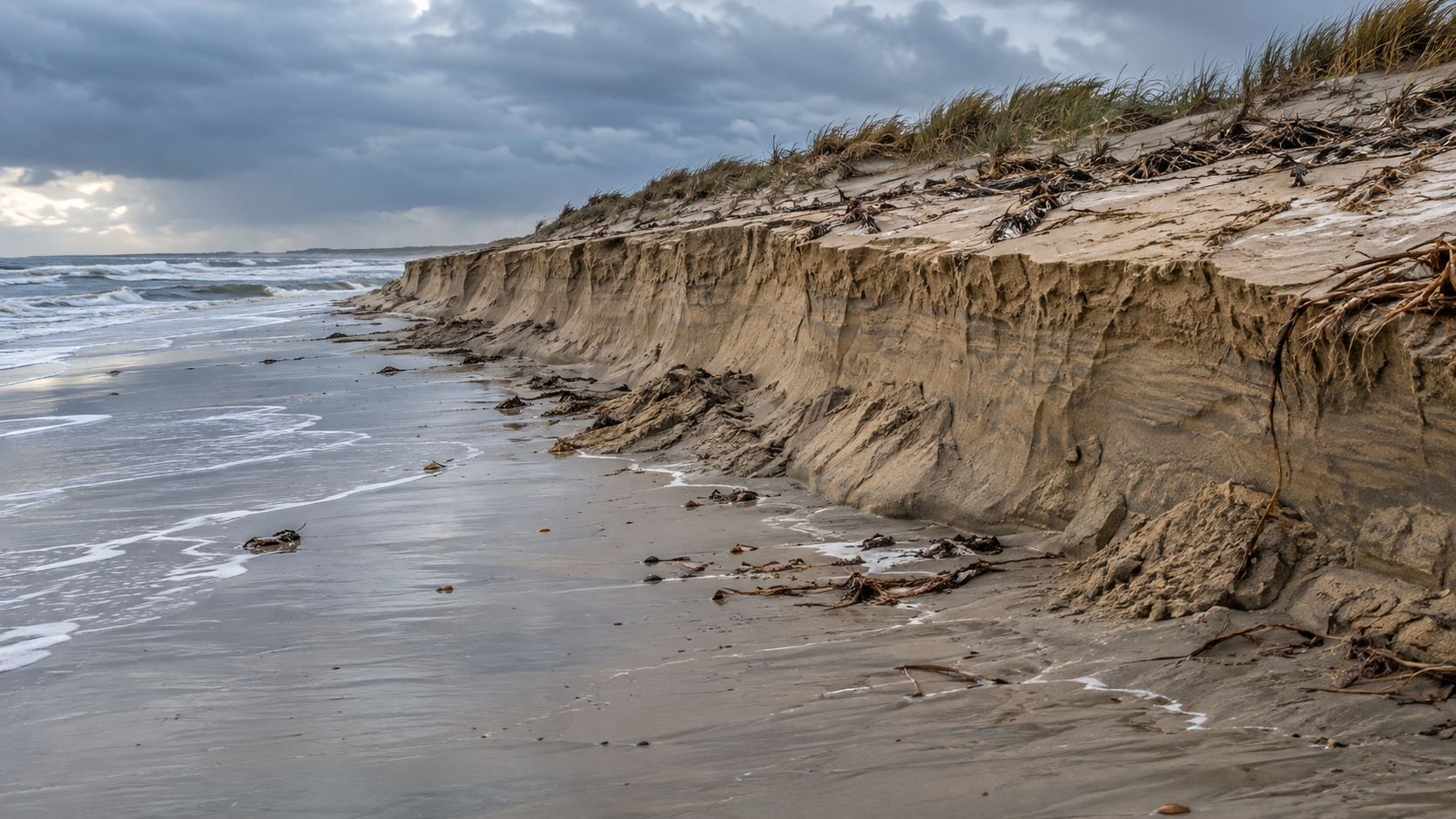 Une plage rabotée par la tempête : une marche de sable d’environ un mètre marque le recul du rivage.