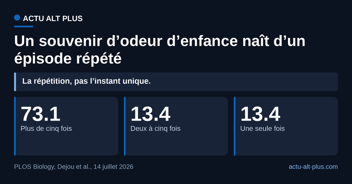 Près de trois quarts des répondants situent leur souvenir d’odeur d’enfance dans un épisode vécu plus de cinq fois : c’est la répétition qui fabrique la trace, pas l’instant unique. Enquête déclarative rétrospective, auprès de 647 personnes interrogées en français.