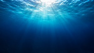 Vue sous-marine plongeante, de la surface claire vers un bleu profond où la lumière s’éteint.
