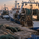 Chalutiers amarrés le long d'un quai méditerranéen au lever du jour, filets et caisses vides sur le port