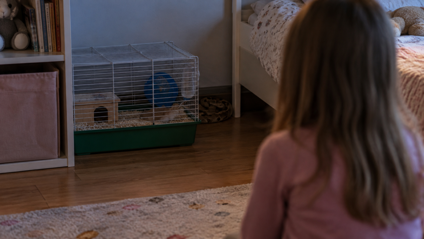 Un serpent brun lové dans l'ombre, derrière une cage à rongeur posée au sol dans une chambre d'enfant