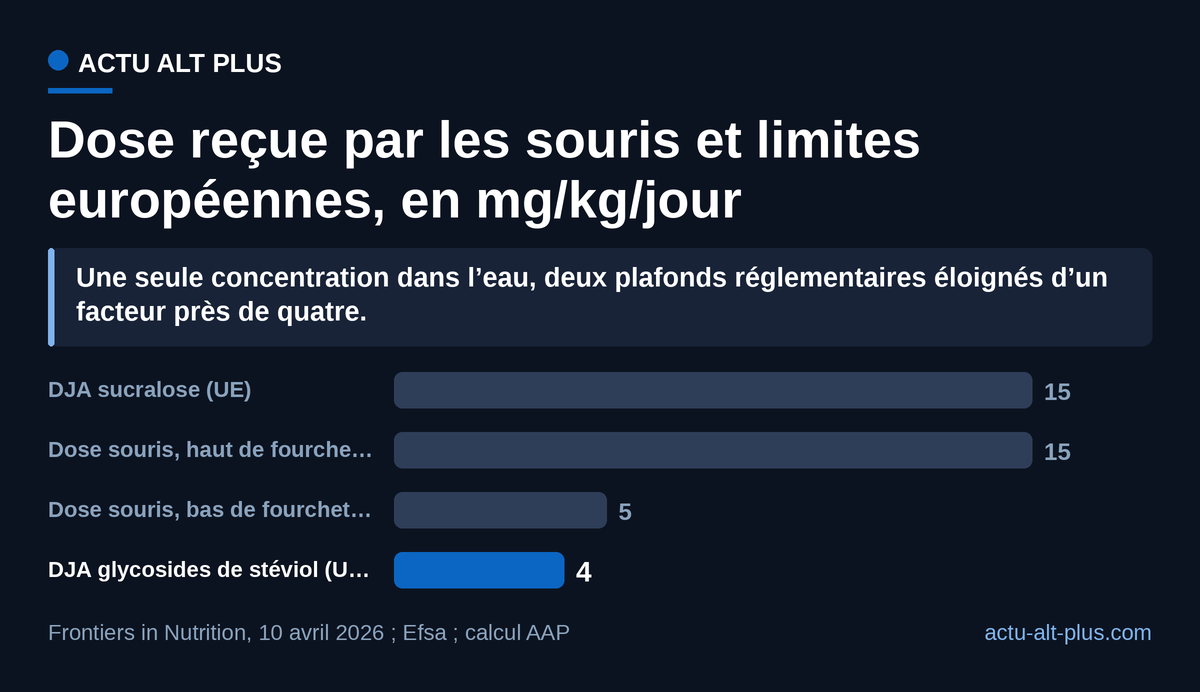 La dose servie aux souris colle au plafond européen du sucralose et monte jusqu’à 3,75 fois celui des glycosides de stéviol. Limite : la fourchette 5 à 15 mg/kg/j est celle publiée par les auteurs à partir d’une concentration unique de 0,1 mg/ml, pas une mesure individuelle.