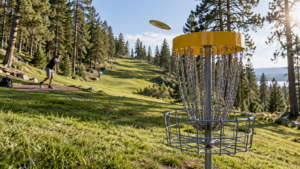 Le trou de disc golf le plus rapide du monde a demandé 60 essais