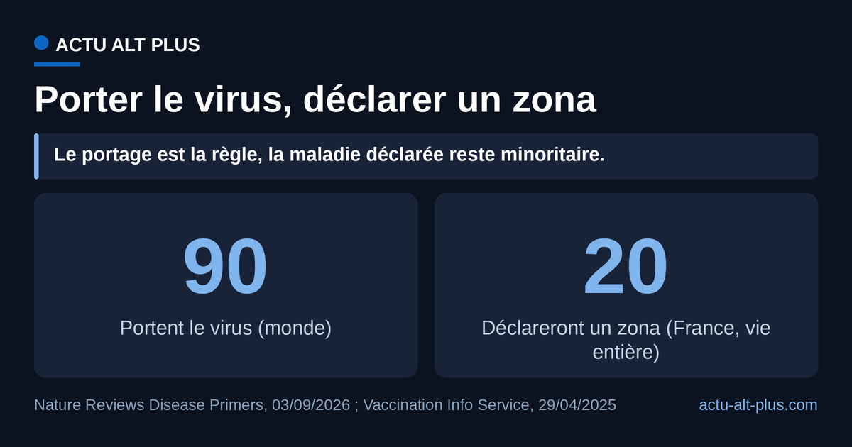 Graphique comparant plus de 90 porteurs du virus varicelle-zona sur 100 adultes dans le monde à environ 20 personnes sur 100 qui déclareront un zona au cours de leur vie en France.