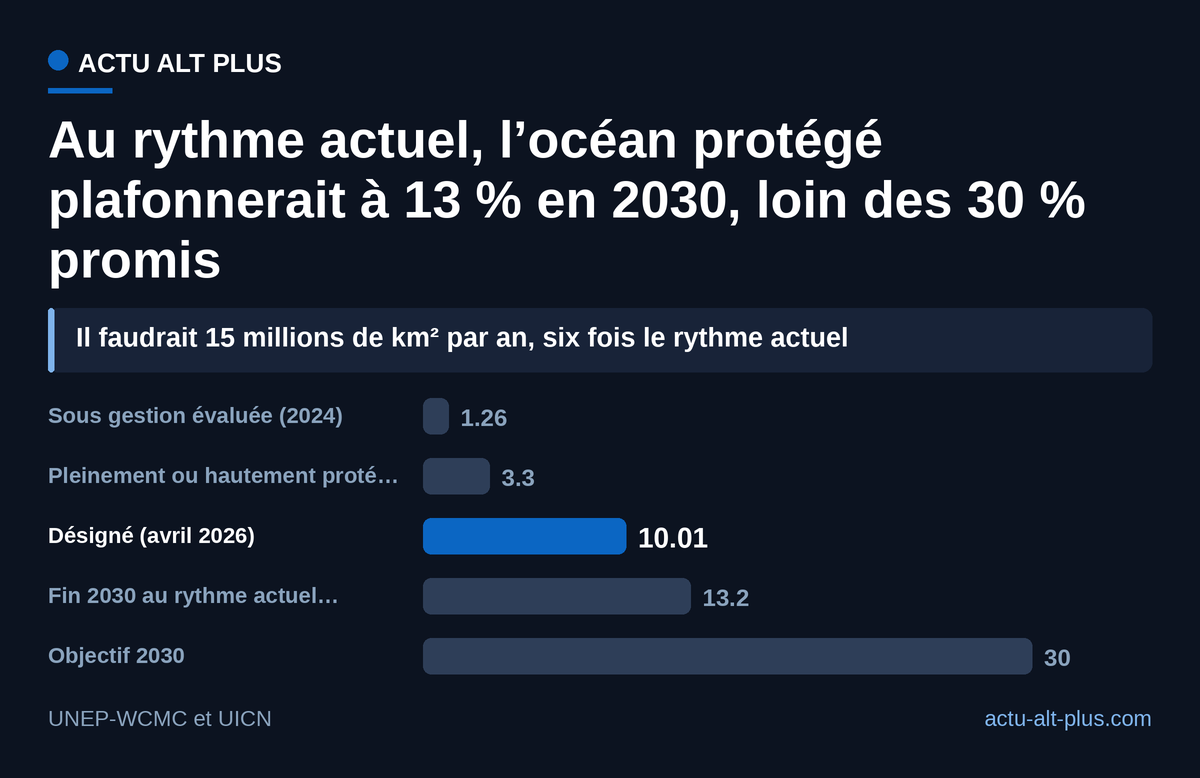 Un tiers des surfaces désignées est pleinement ou hautement protégé, et la projection 2030 reste à moins de la moitié de l’objectif.
