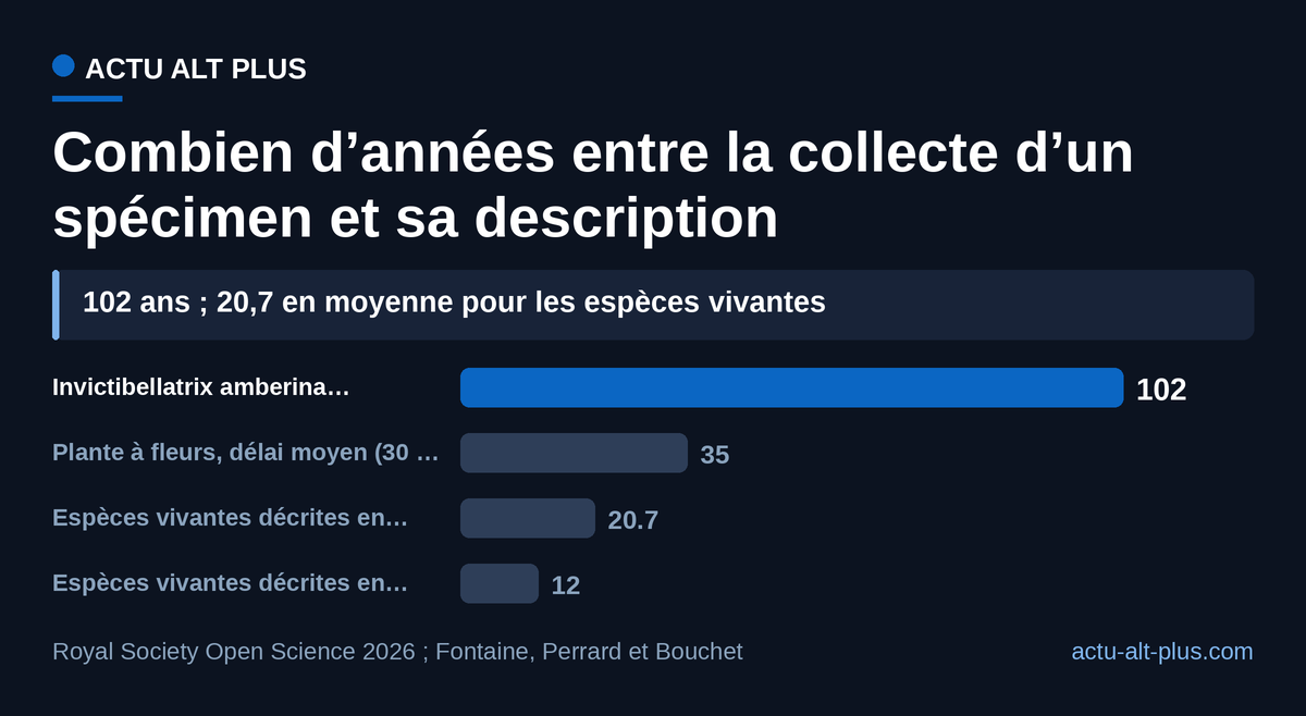 Invictibellatrix a attendu 102 ans ; les espèces vivantes, elles, attendent 20,7 ans en moyenne