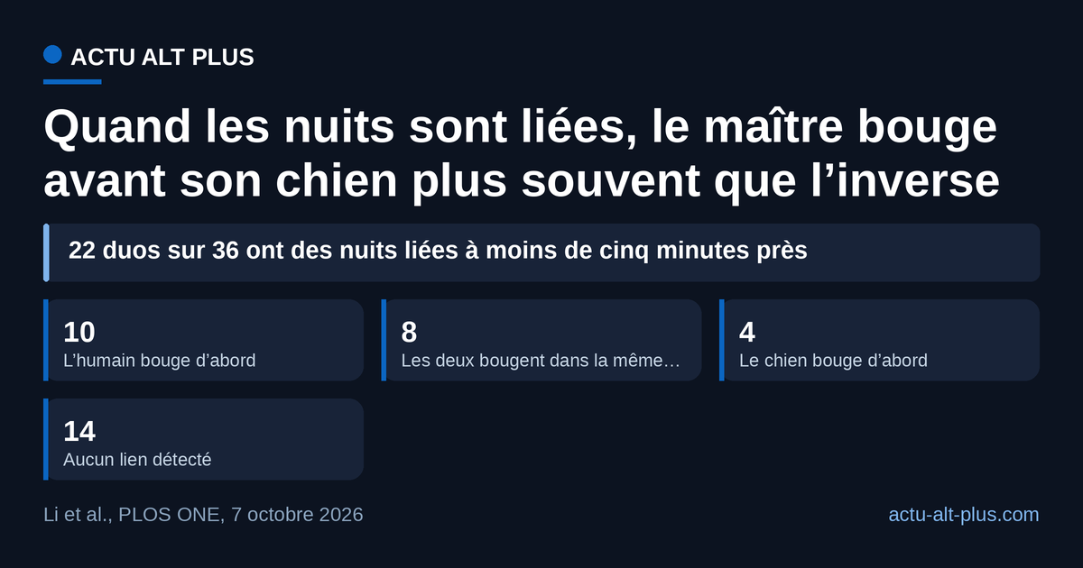 Sur 36 duos suivis, 10 voient l’humain s’agiter d’abord et 4 seulement le chien ; 14 ne montrent aucun lien.