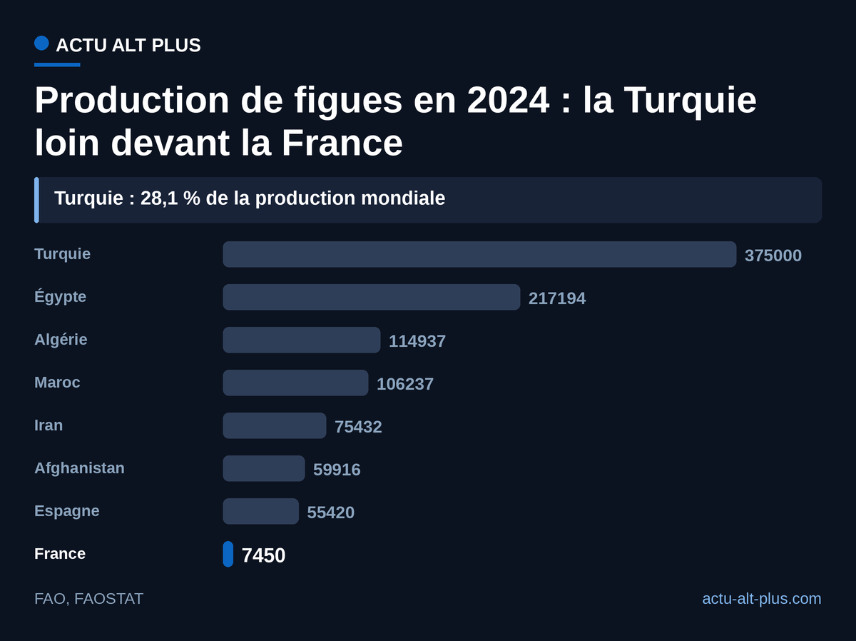 Le pays de la grotte d’Andık reste le premier producteur mondial de figues ; la France pèse 0,6 % de la récolte (part calculée par nos soins).