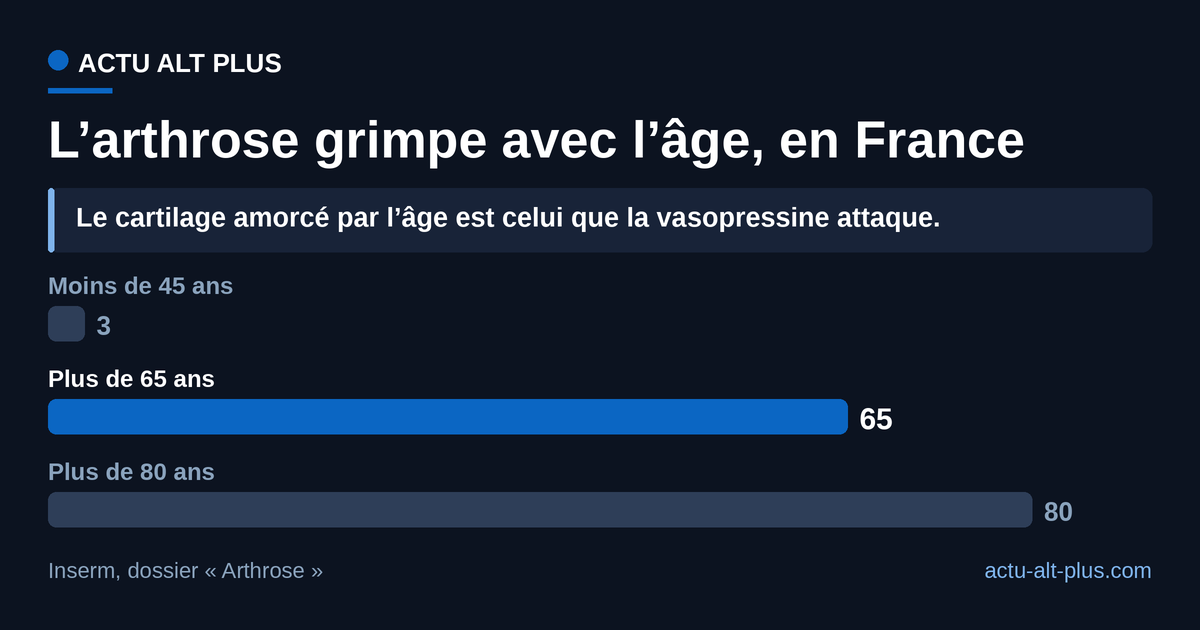 Après 65 ans, l’arthrose devient majoritaire : c’est aussi l’âge où le récepteur AVPR1A s’installe dans le cartilage. Les classes d’âge de l’Inserm s’emboîtent (les plus de 80 ans font partie des plus de 65 ans), elles ne s’additionnent pas.