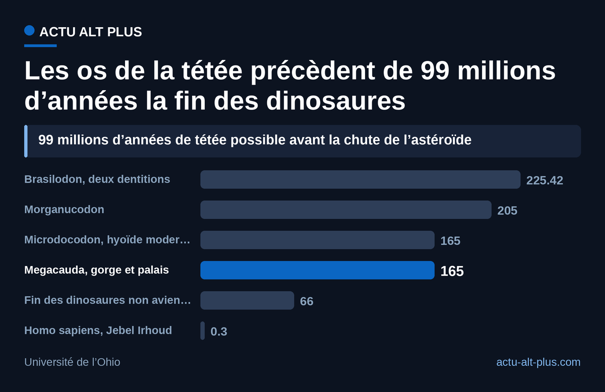Les indices de la tétée s’étalent de 225 à 165 millions d’années, bien avant l’astéroïde ; Homo sapiens n’apparaît qu’à 0,3 million d’années. Âges arrondis selon chaque source.