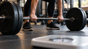 7 séances de musculation réduisent la graisse du ventre avant toute perte de poids, chez la souris