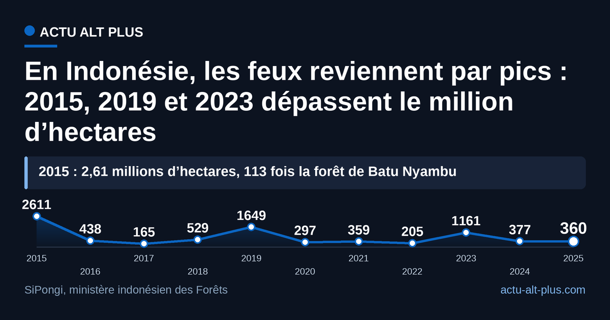 Trois années sur onze dépassent le million d’hectares brûlés ; 2025 est retombé à 360 000 hectares. Le bilan annuel 2026 n’est pas encore publié.
