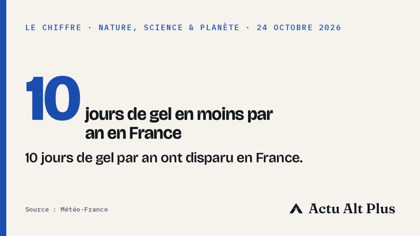 Givre blanc sur des feuilles de chou et une clôture en bois dans un potager au lever du jour