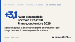 Champ craquelé et tournesols desséchés sous un soleil voilé, fin d’été dans le sud de la France