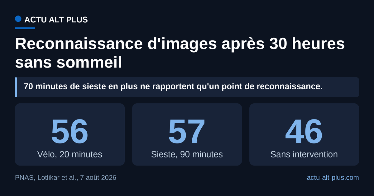 Le vélo et la sieste se tiennent à un point près, et c'est le groupe sans intervention qui décroche. Reconnaissance testée trois jours après l'apprentissage, sur 53 participants répartis en groupes de 17 à 18 personnes.